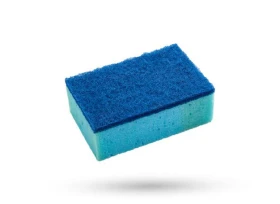 Sponge for polishing